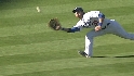 Gibbons' sliding catch