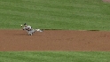 Lee's diving stop