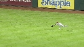 Hunter's diving catch