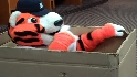 Tigers pack for Spring Training