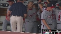 Zimmerman's sac fly