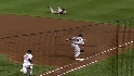 Pedroia's diving stop