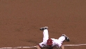 Trumbo's diving stop