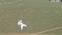 Johnson's tough catch