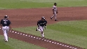 McGehee's sac fly