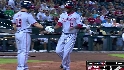 Werth's sac fly