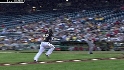 Snyder's sac fly