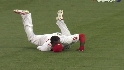 Brown's diving grab