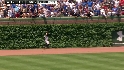 Gardner's grab in the ivy