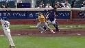 Gee's nice snag
