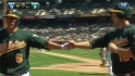 Suzuki's sac fly