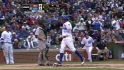 LaHair's sac fly