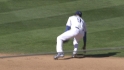 Gordon's dynamic leaping catch