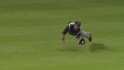 Young's diving catch