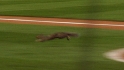 Manuel on the squirrel