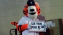 Tigers prep for Spring Training