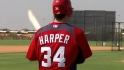 Breaking down Harper