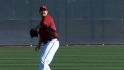 30/30 D-backs: Cahill