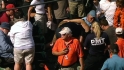 Fan struck by bat