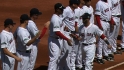 Red Sox introduced