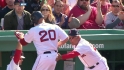 Youk's sac fly