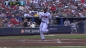 McCann's sac fly