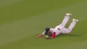 Byrd's sliding catch