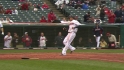 Hafner's sac fly
