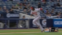 Davis' sac fly