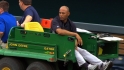 Nelson on Rivera's injury