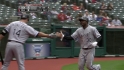 Lillibridge's sac fly
