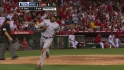 Swisher's sac fly