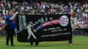 Piazza homer wins Banner Day