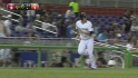 Coghlan's sac fly