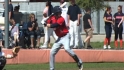 Tigers' Draft recap