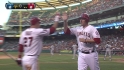 Conger's sac fly