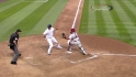 Rutledge's sac fly
