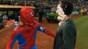 A look at pennant race baseball