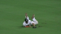 Stanton's sliding snag