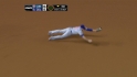 Vitters' diving stop