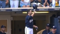 H&S Mane Man: Braun
