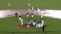 Giants survive all the way to the World Series