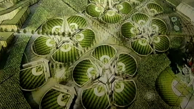 Boggs' 'Field of Dreams' project worth watching