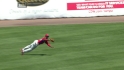 Brown's diving catch
