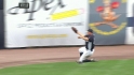 Gardner's sliding catch