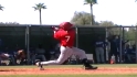 Top Prospects: Jose Rondon, SS, Angels