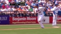 Lutz's sac fly