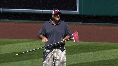 Swarm of bees delays Mariners-Angels finale