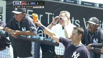 Buzz worthy: Swarm of bees delays Sox-Yanks