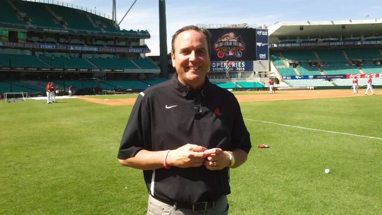 D-backs ponder how Cricket Ground will play